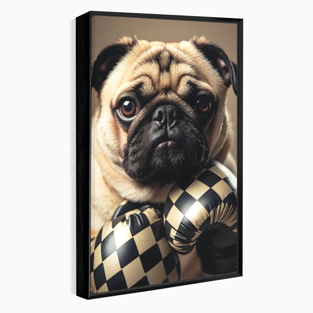 Tablou canvas cu tablou canvas cu pug in manusi de box, in rama de aluminiu negru